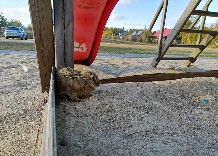 Zajecza - Jeziora, , Lodka, Rower بيت للعطل Sitno (Pomerania)